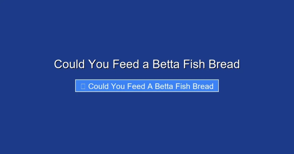 Could You Feed a Betta Fish Bread
