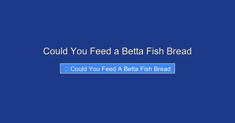 Could You Feed a Betta Fish Bread