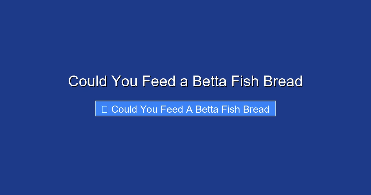 Could You Feed a Betta Fish Bread