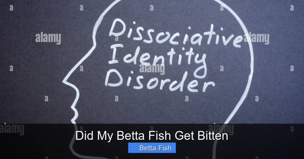Did My Betta Fish Get Bitten