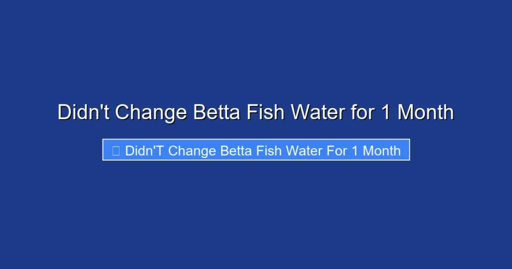 Didn't Change Betta Fish Water for 1 Month
