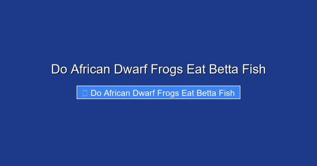 Do African Dwarf Frogs Eat Betta Fish