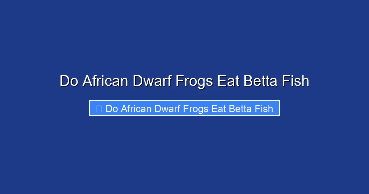 Do African Dwarf Frogs Eat Betta Fish