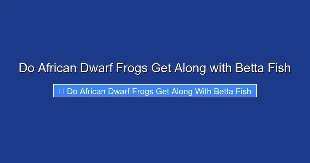 Do African Dwarf Frogs Get Along with Betta Fish