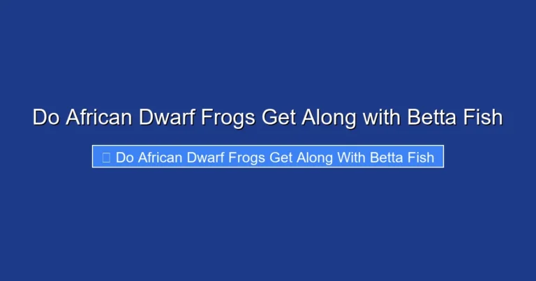 Do African Dwarf Frogs Get Along with Betta Fish