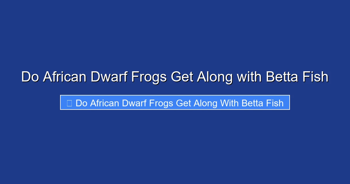 Do African Dwarf Frogs Get Along with Betta Fish