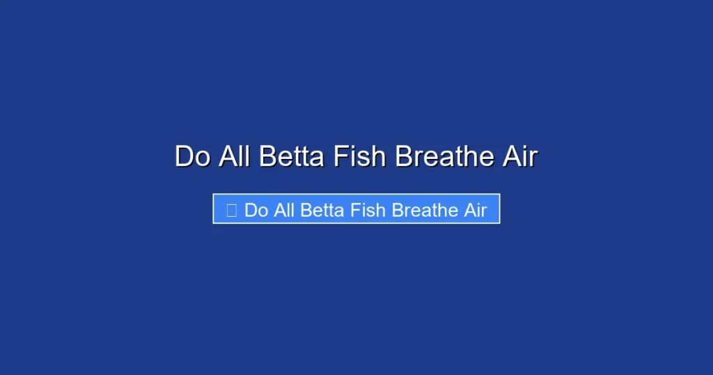Do All Betta Fish Breathe Air