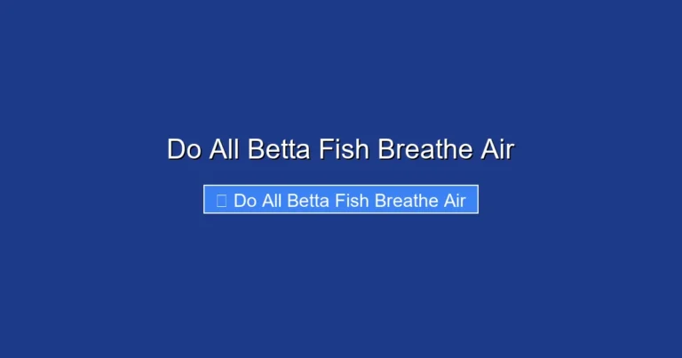 Do All Betta Fish Breathe Air