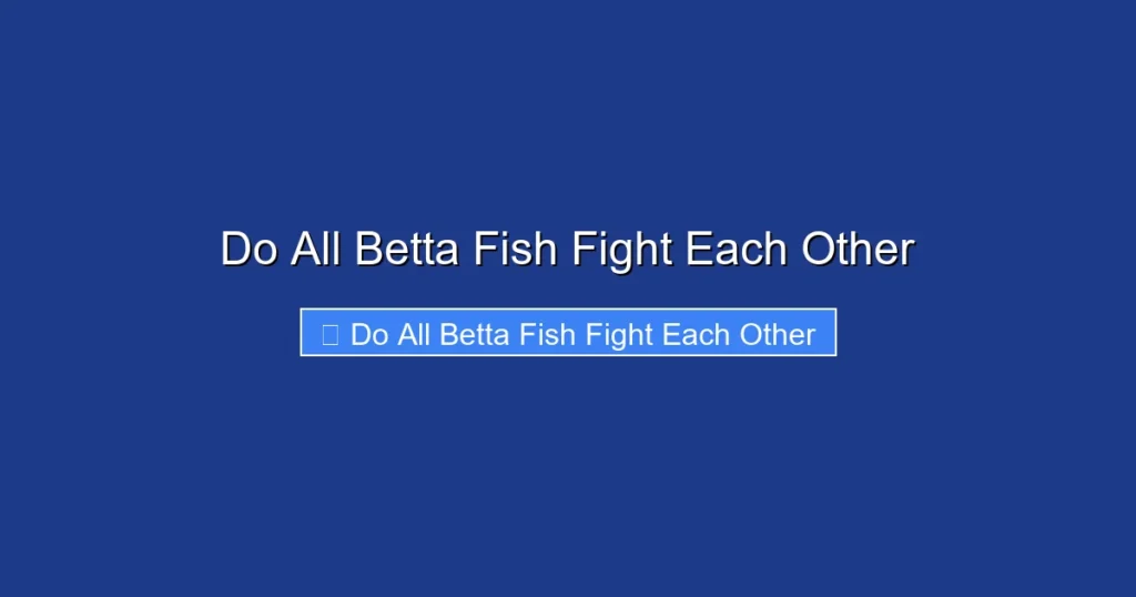 Do All Betta Fish Fight Each Other