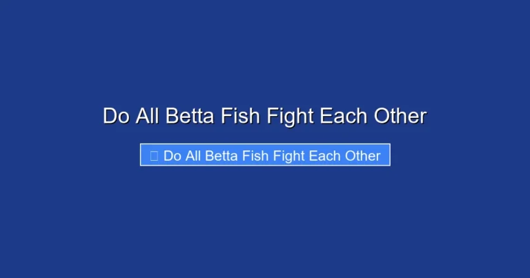 Do All Betta Fish Fight Each Other