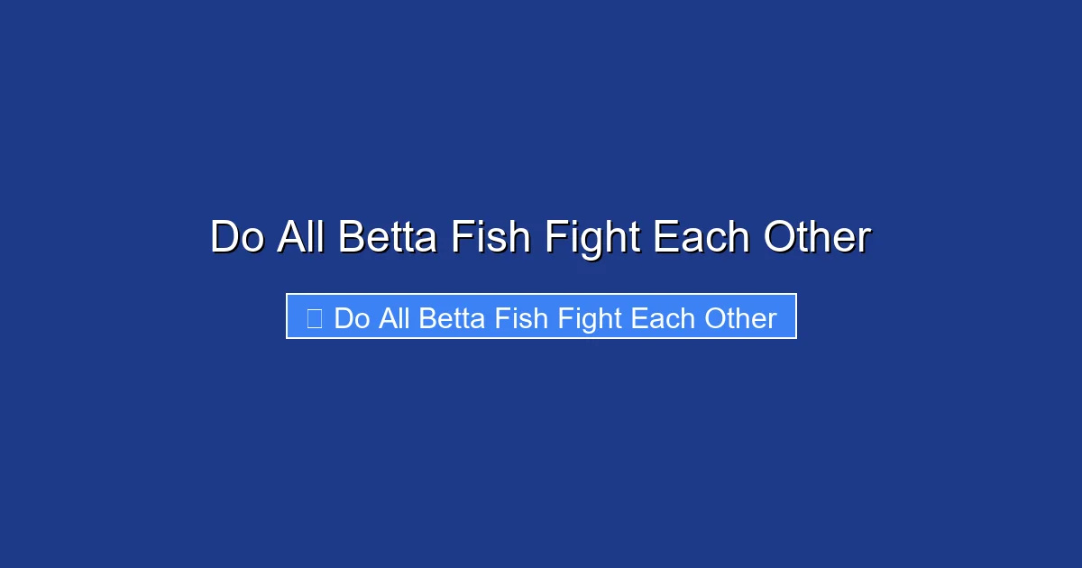Do All Betta Fish Fight Each Other