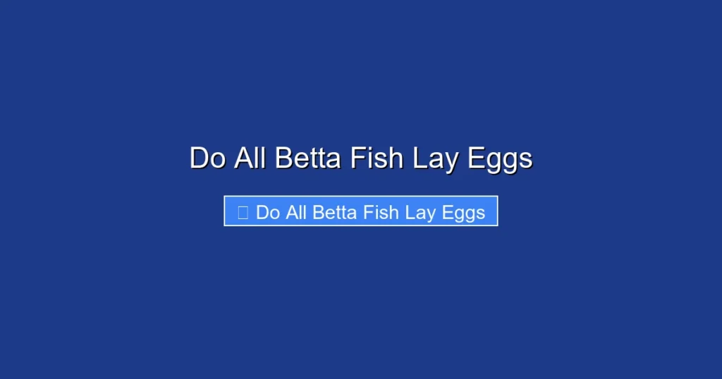 Do All Betta Fish Lay Eggs