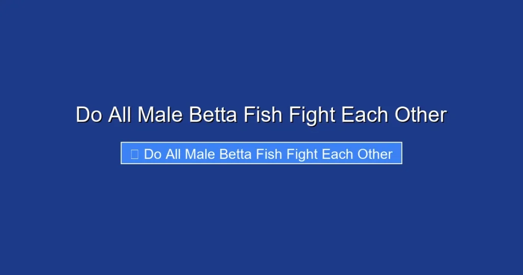 Do All Male Betta Fish Fight Each Other