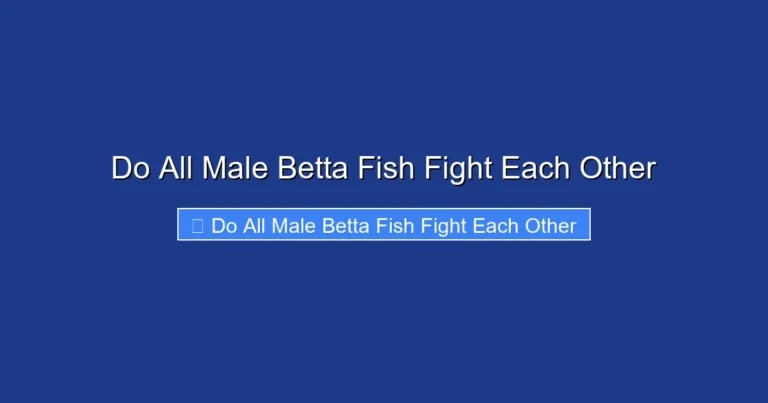 Do All Male Betta Fish Fight Each Other