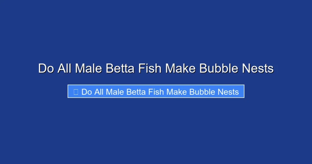 Do All Male Betta Fish Make Bubble Nests