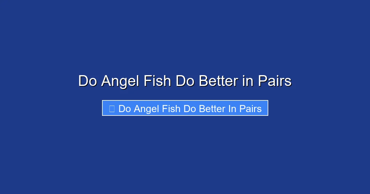 Do Angel Fish Do Better in Pairs