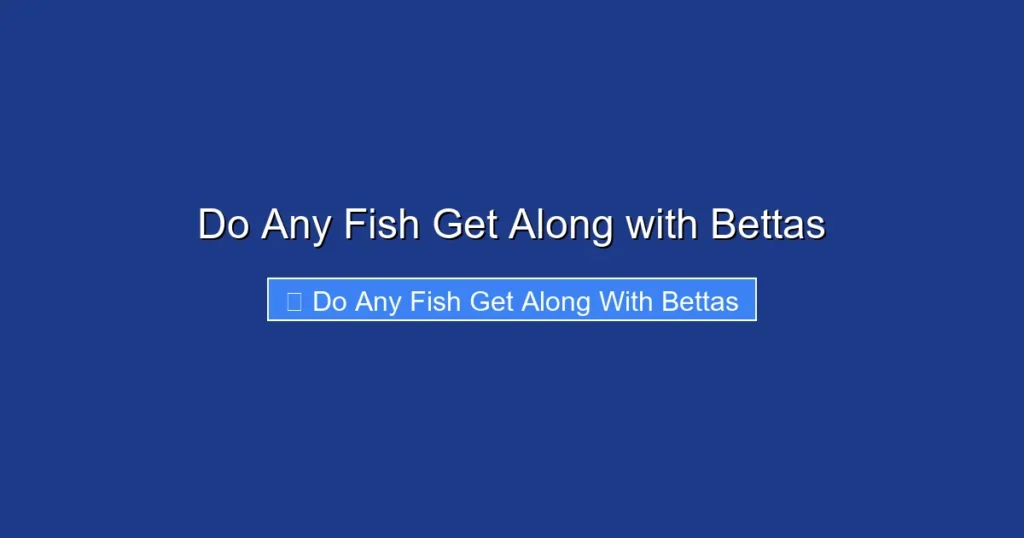 Do Any Fish Get Along with Bettas