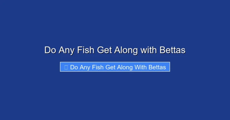 Do Any Fish Get Along with Bettas