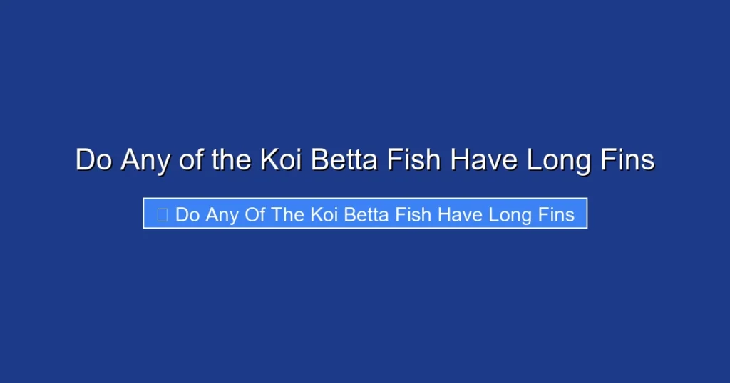 Do Any of the Koi Betta Fish Have Long Fins