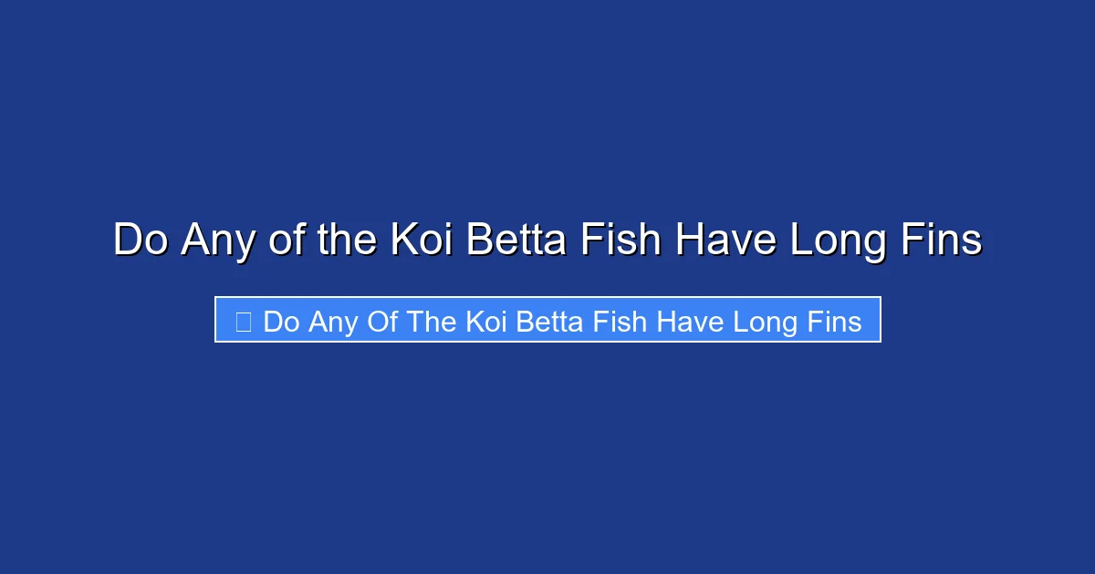 Do Any of the Koi Betta Fish Have Long Fins
