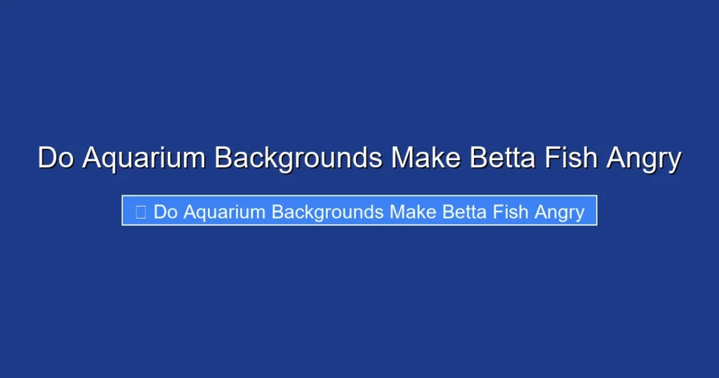 Do Aquarium Backgrounds Make Betta Fish Angry