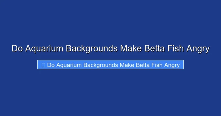 Do Aquarium Backgrounds Make Betta Fish Angry