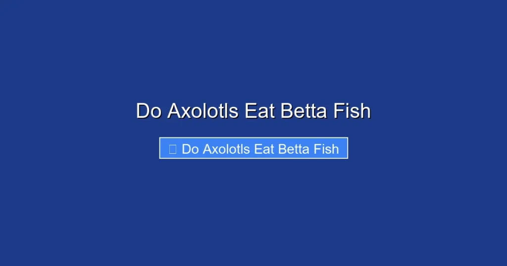 Do Axolotls Eat Betta Fish