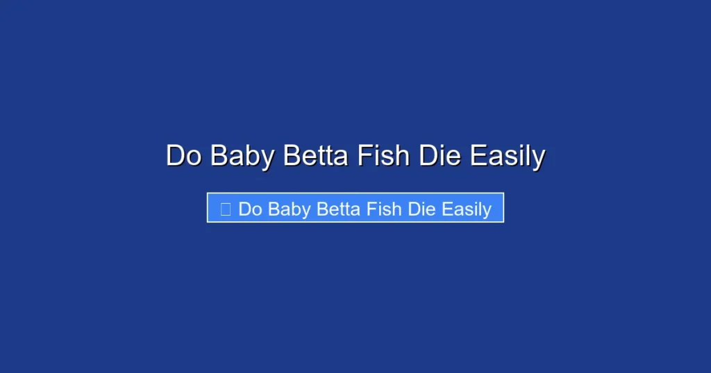 Do Baby Betta Fish Die Easily