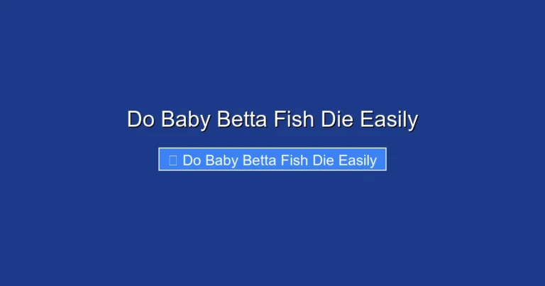 Do Baby Betta Fish Die Easily