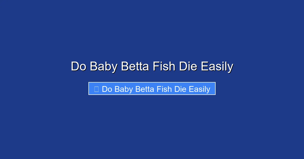 Do Baby Betta Fish Die Easily