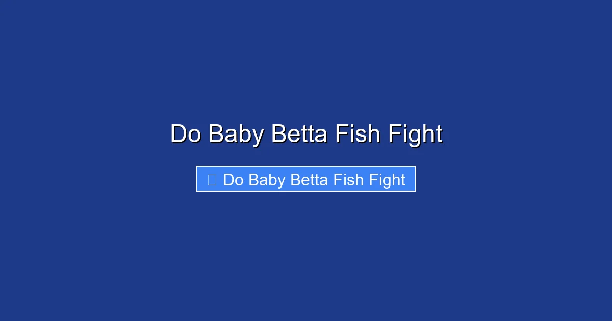 Do Baby Betta Fish Fight
