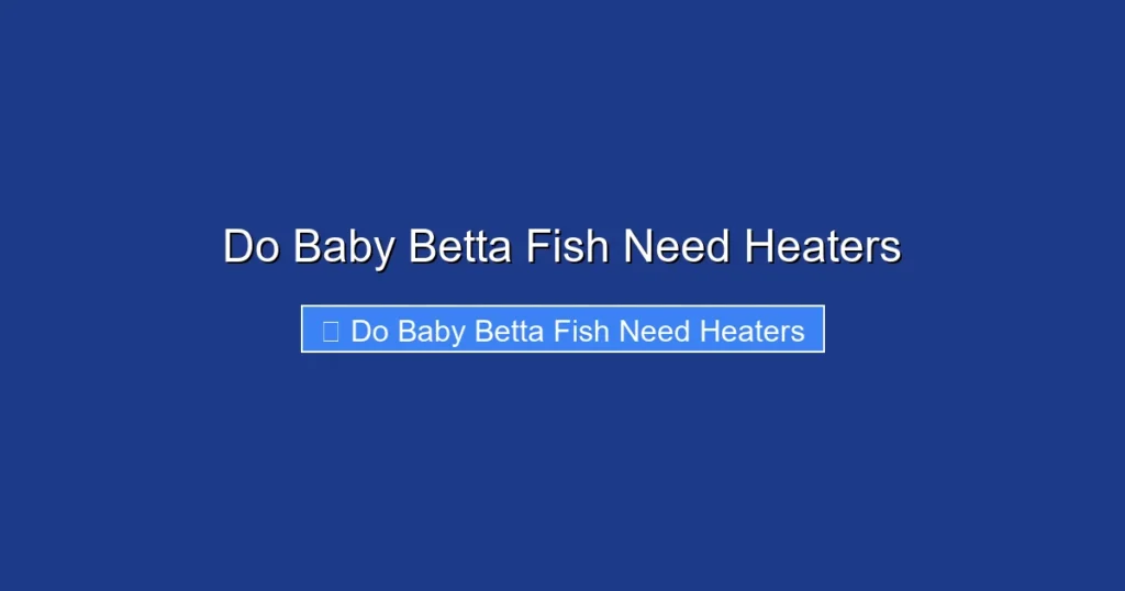 Do Baby Betta Fish Need Heaters