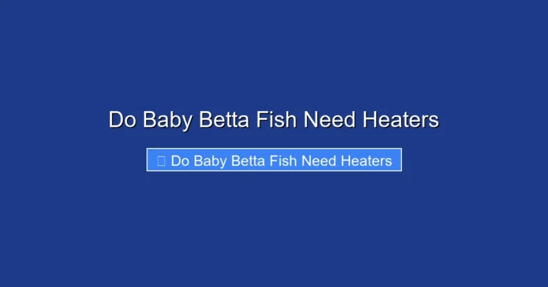 Do Baby Betta Fish Need Heaters