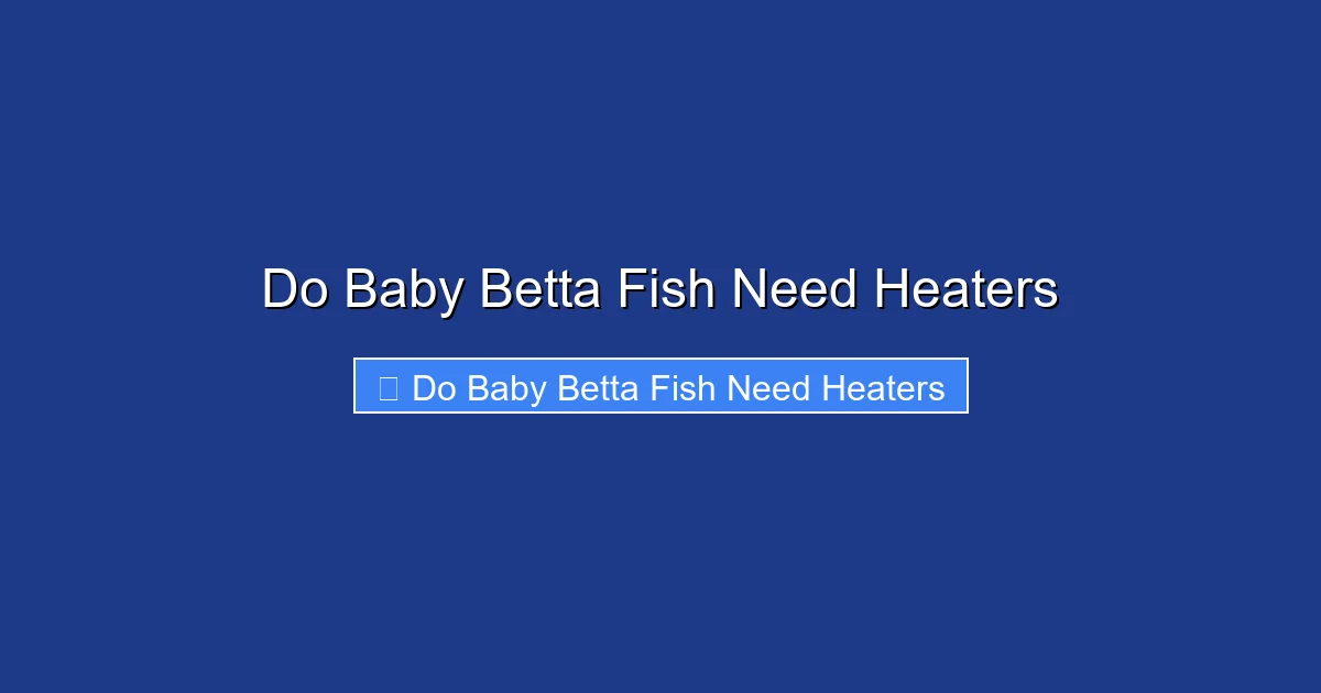 Do Baby Betta Fish Need Heaters