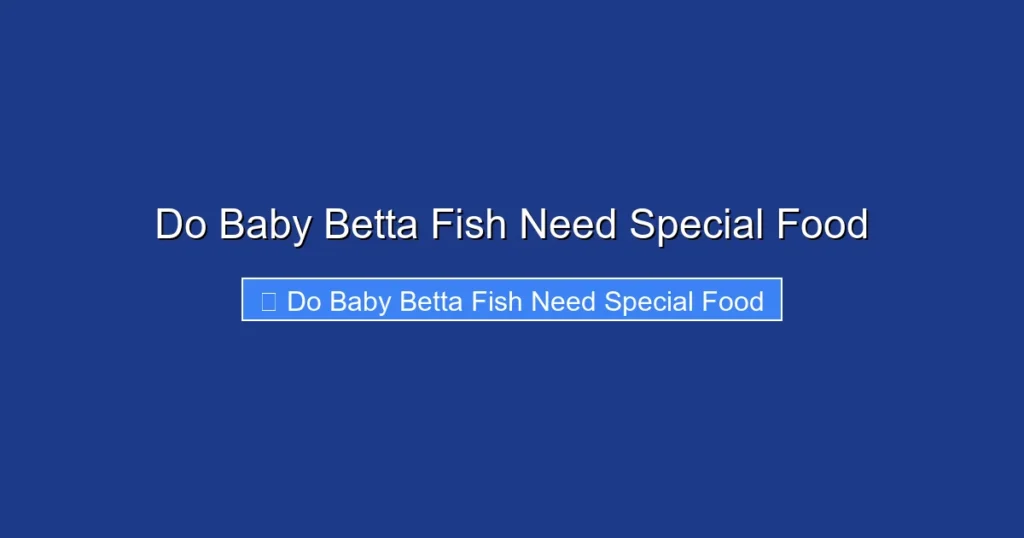 Do Baby Betta Fish Need Special Food