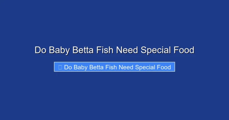 Do Baby Betta Fish Need Special Food