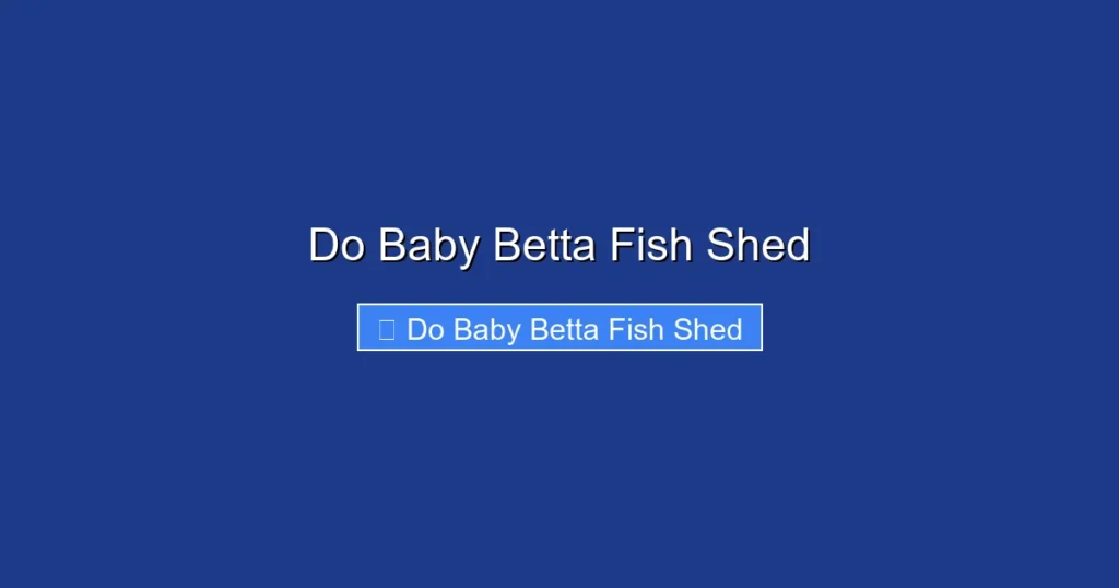Do Baby Betta Fish Shed