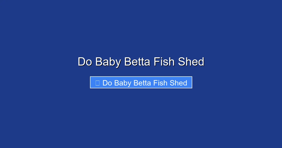 Do Baby Betta Fish Shed