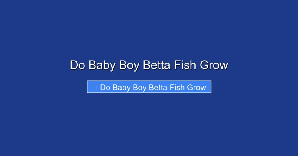 Do Baby Boy Betta Fish Grow