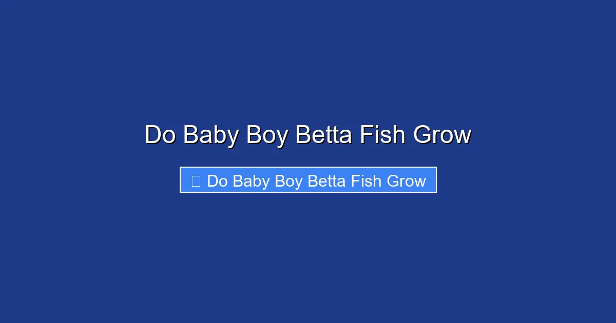 Do Baby Boy Betta Fish Grow