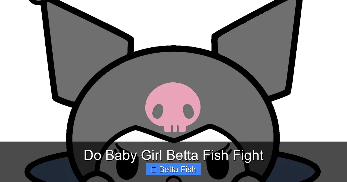 Do Baby Girl Betta Fish Fight