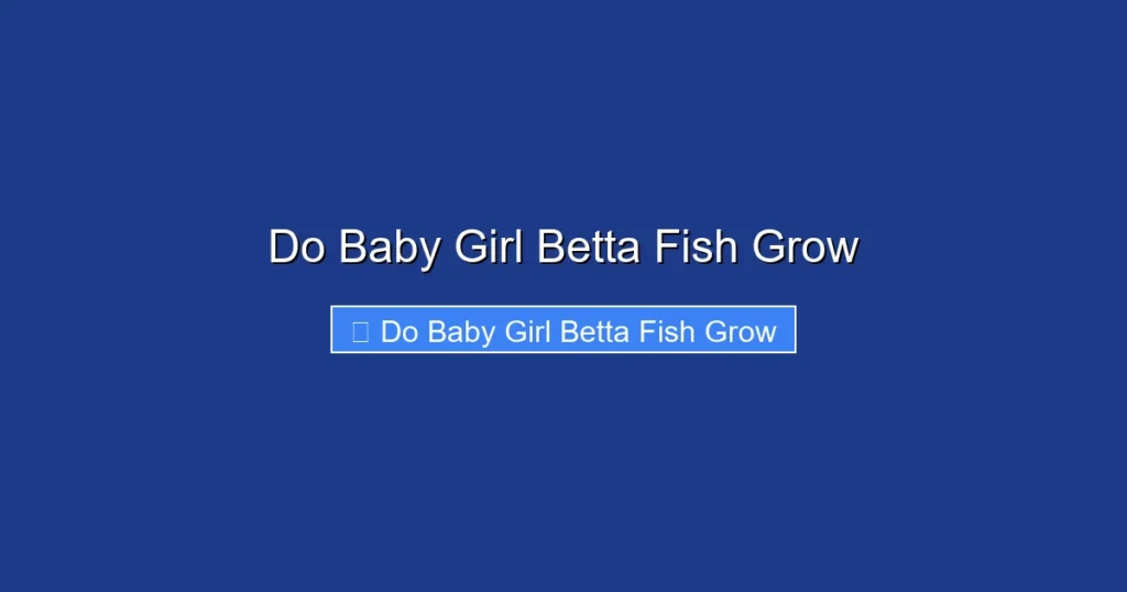 Do Baby Girl Betta Fish Grow