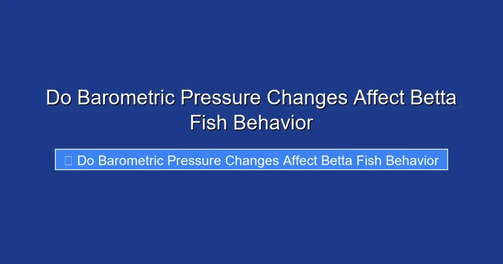 Do Barometric Pressure Changes Affect Betta Fish Behavior