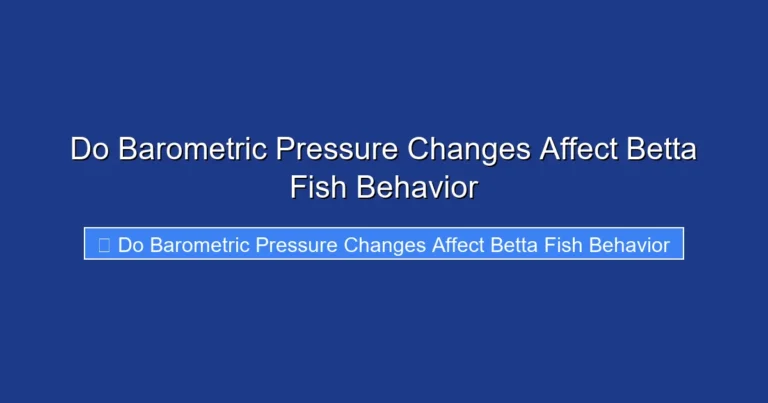 Do Barometric Pressure Changes Affect Betta Fish Behavior