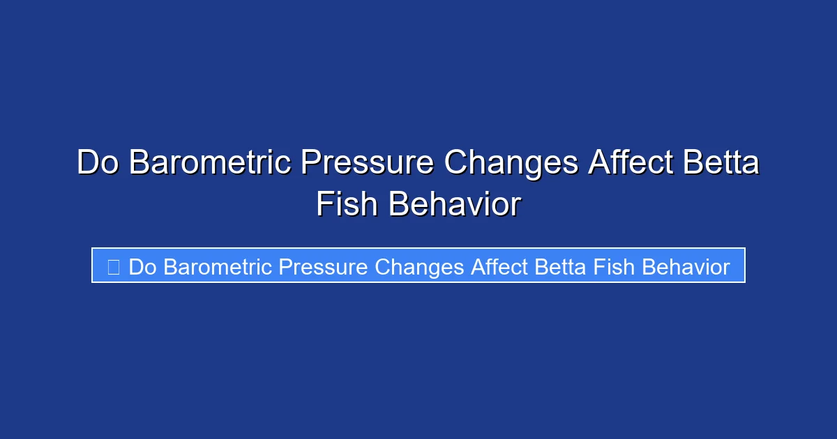 Do Barometric Pressure Changes Affect Betta Fish Behavior