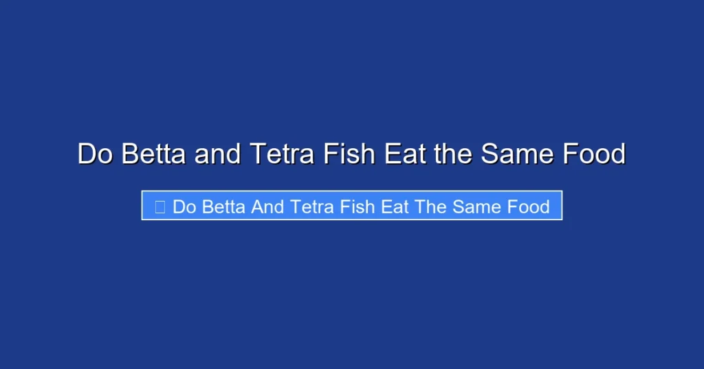 Do Betta and Tetra Fish Eat the Same Food