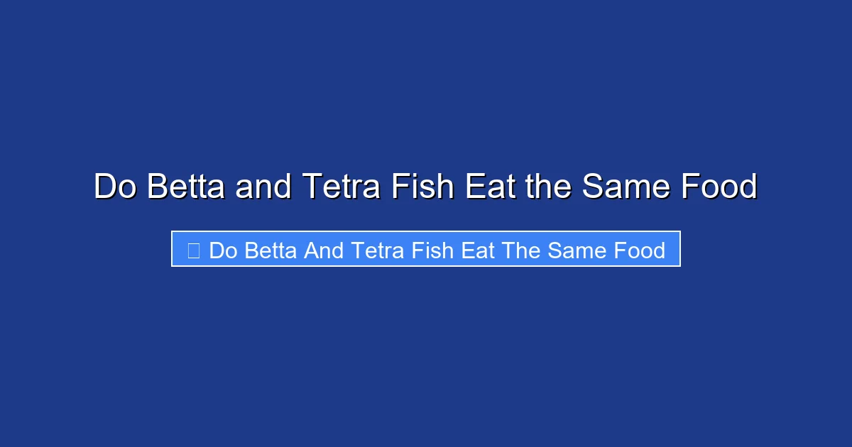 Do Betta and Tetra Fish Eat the Same Food