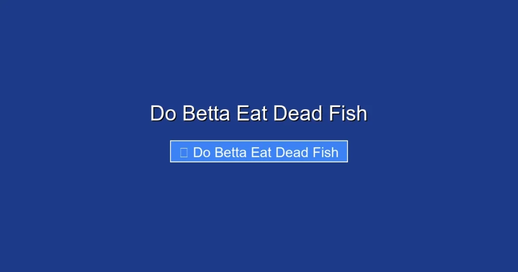 Do Betta Eat Dead Fish