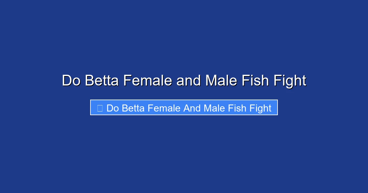 Do Betta Female and Male Fish Fight