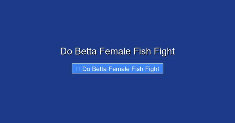 Do Betta Female Fish Fight